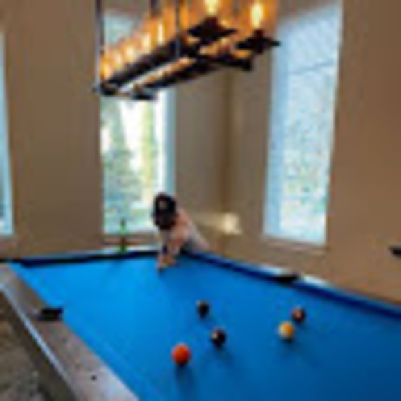 Meet your Posher, Jesus - Picture 1 of 1